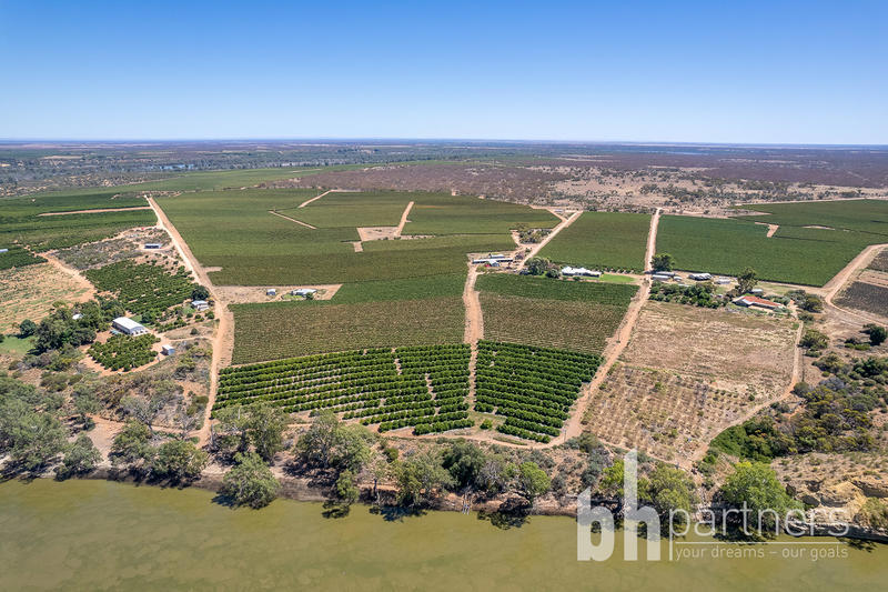 247 Markaranka Road, Taylorville SA, Taylorville - Thumbnail 6