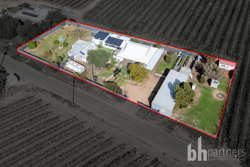55 Pommy Avenue, Barmera - Image 1