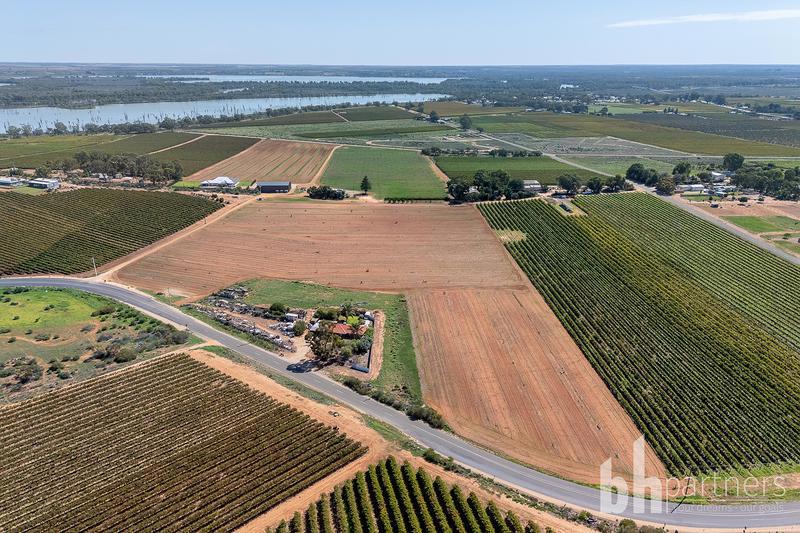 Lot 38 Loveday Road, Barmera SA, Barmera - Thumbnail 3