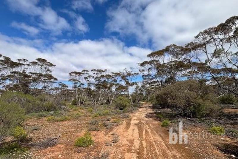 761 Mallee Acres Road, Fisher - Image 1