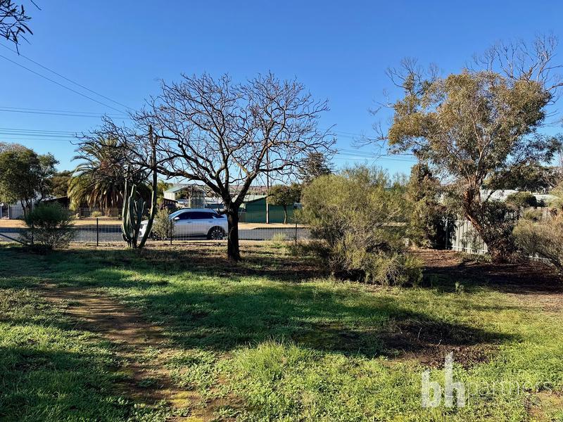 21 Hamilton Street, Mannum SA, Mannum - Thumbnail 7