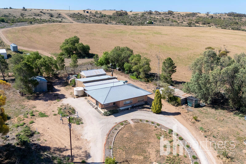 965 Purnong Road, Mannum SA, Mannum - Thumbnail 4