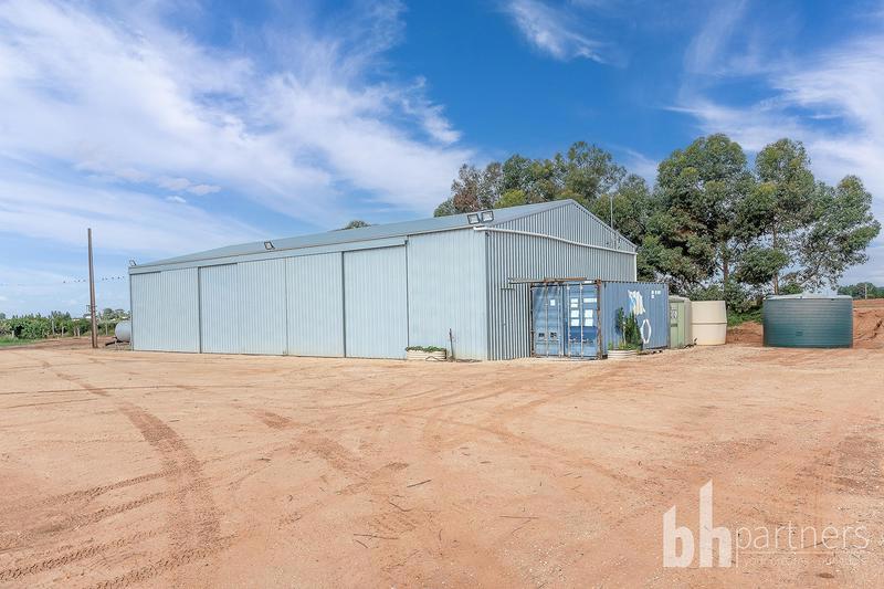 121 Elephant Trunk Road, Barmera SA, Barmera - Thumbnail 6