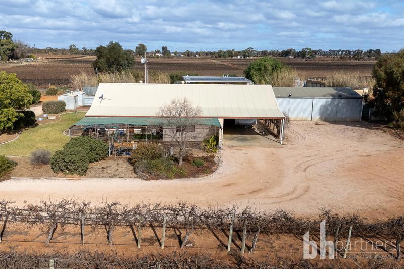 254 Dunstone Road, Barmera SA, Barmera - Image 1