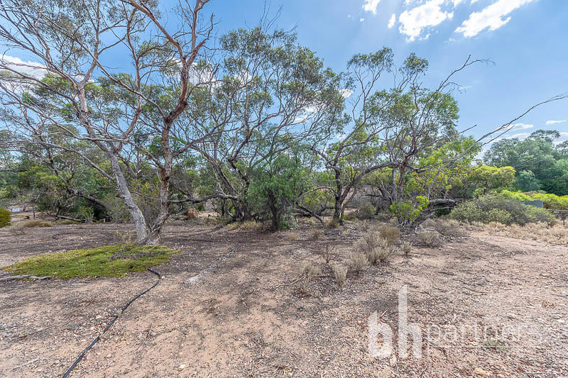 Lot 5 Black Hill Road, Cambrai SA, Cambrai - Thumbnail 4