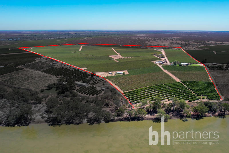 247 Markaranka Road, Taylorville SA, Taylorville - Image 1