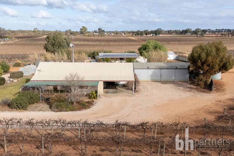 254 Dunstone Road, Barmera SA, Barmera - Thumbnail 4