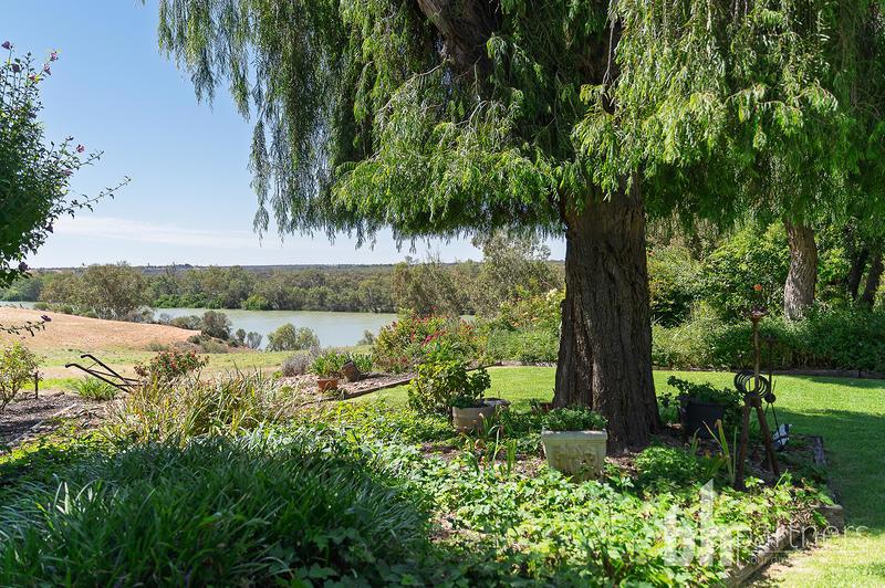 448 Riverview Drive, Berri SA, Berri - Thumbnail 3