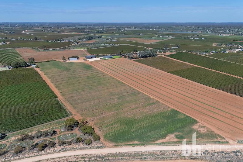 121 Elephant Trunk Road, Barmera SA, Barmera - Thumbnail 8