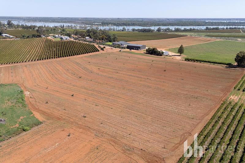 Lot 38 Loveday Road, Barmera SA, Barmera - Thumbnail 6