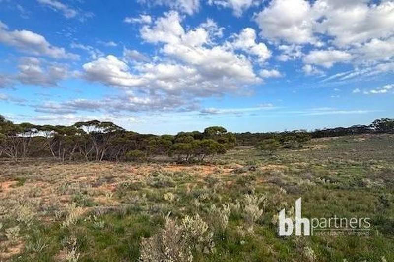 Section 369 Schwertie Road, Black Hill SA, Black Hill - Thumbnail 6
