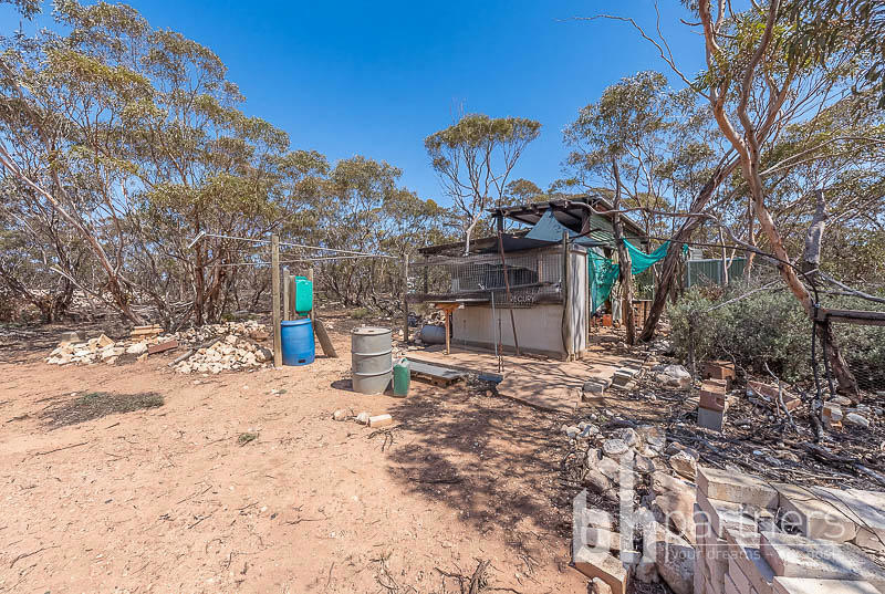 427 Codrington Road, Mannum SA, Mannum - Thumbnail 8