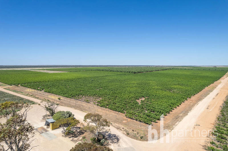 Greenways Road & Heywood Drive, Nildottie SA, Nildottie - Image 1