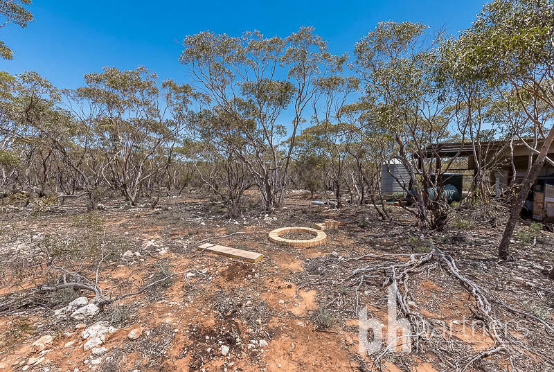 427 Codrington Road, Mannum SA, Mannum - Thumbnail 2