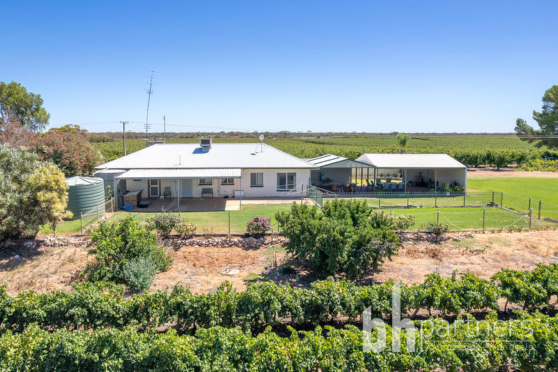 247 Markaranka Road, Taylorville SA, Taylorville - Thumbnail 2