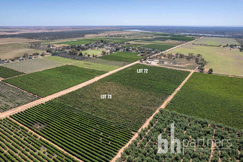 Greenways Road & Heywood Drive, Nildottie SA, Nildottie - Thumbnail 7