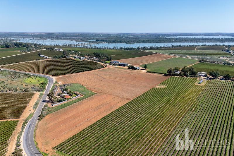 Lot 38 Loveday Road, Barmera SA, Barmera - Thumbnail 2