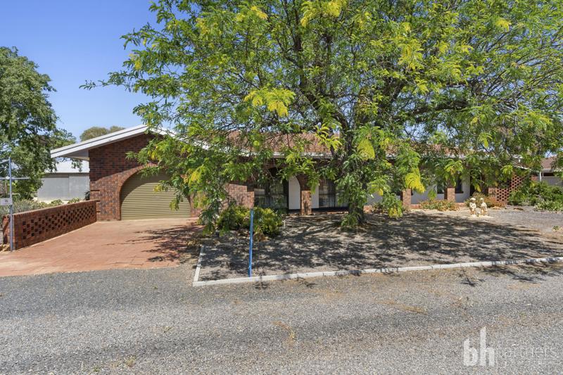 16 Alamein Avenue, Loxton North SA, Loxton North - Image 1