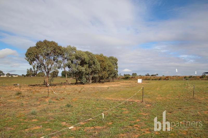 Lot 145 Dollard Avenue, Mannum SA, Mannum - Thumbnail 5