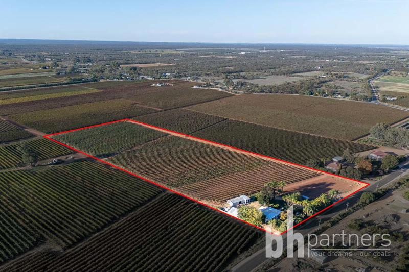 131 Lobban Road, Monash SA, Monash - Image 1