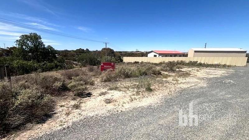 8-10 Upcher Street, Blanchetown SA, Blanchetown - Thumbnail 3