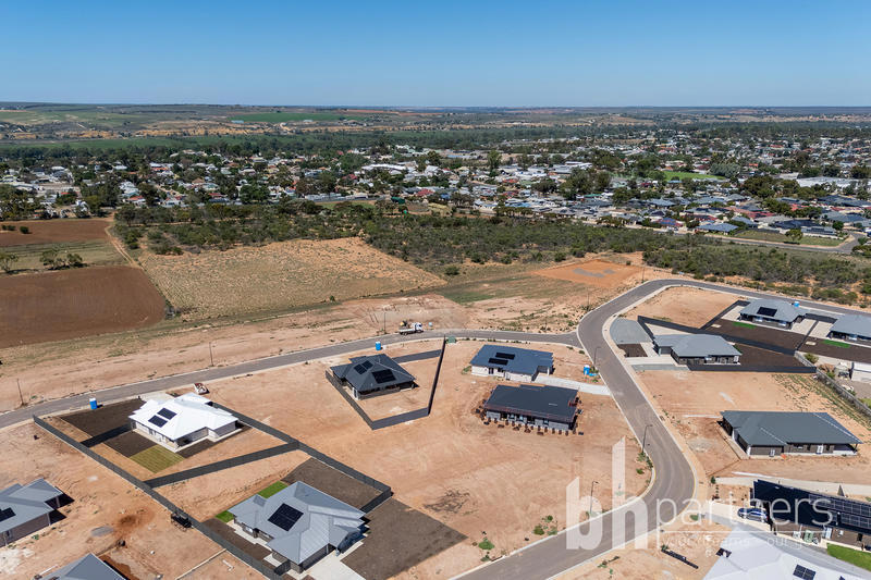 Lot 75 Tyro Circuit, Mannum SA, Mannum - Thumbnail 4