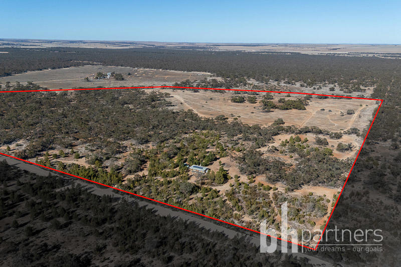 648 Goondooloo Road, Bowhill SA, Bowhill - Image 1