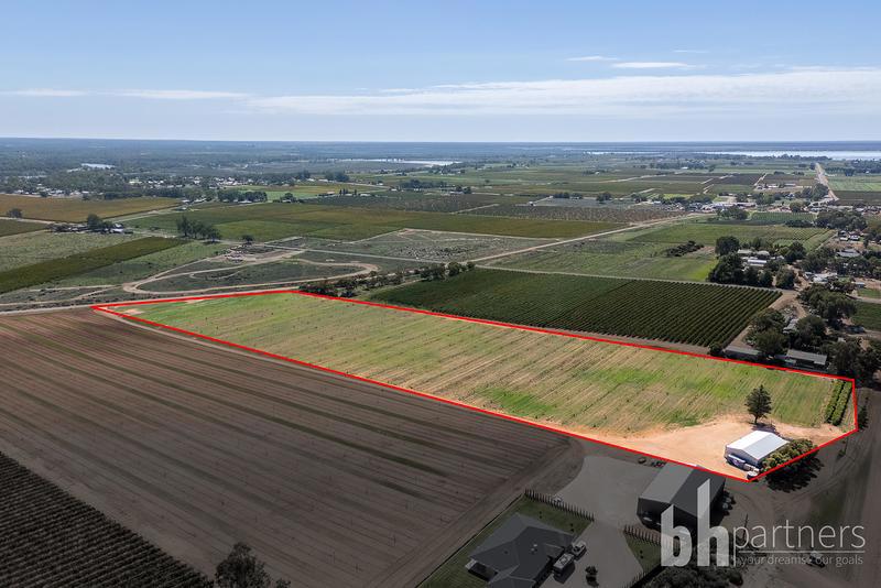 121 Elephant Trunk Road, Barmera SA, Barmera - Thumbnail 7