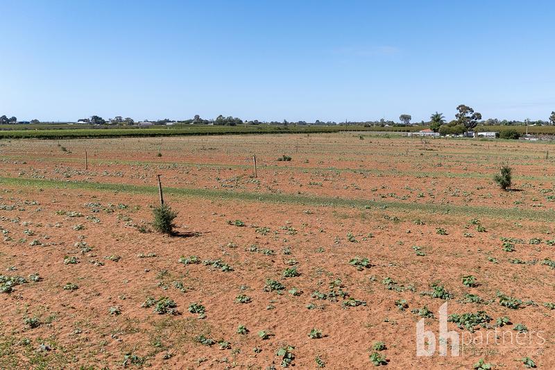 Lot 38 Loveday Road, Barmera SA, Barmera - Thumbnail 8