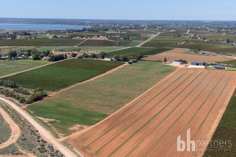 121 Elephant Trunk Road, Barmera SA, Barmera - Thumbnail 4