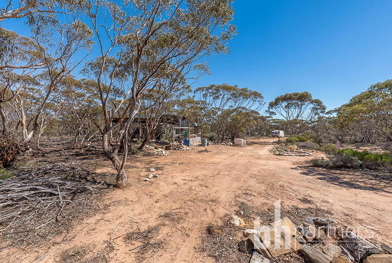 427 Codrington Road, Mannum SA, Mannum - Thumbnail 5