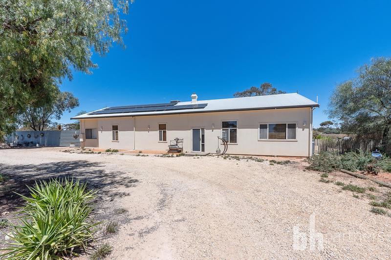 418 Old Sturt Highway, Glossop SA, Glossop - Thumbnail 3
