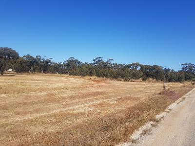 161 (L) MELBOURNE Street, Moora