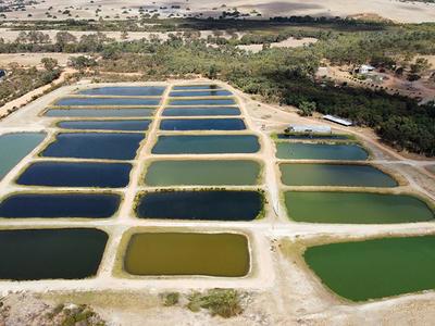 1588 Cantabilling Road, Jurien Bay