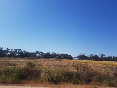 168 (L) WOOLAWA Street, Moora