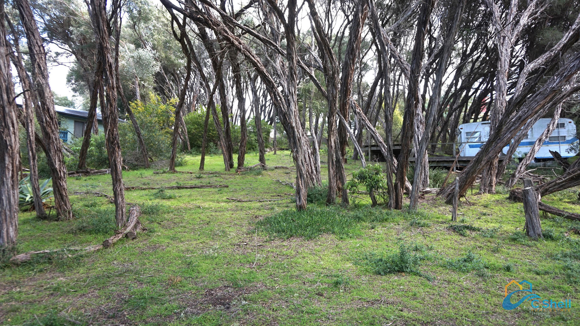 4 Goodlett Avenue Loch Sport, VIC, Loch Sport - Thumbnail 3