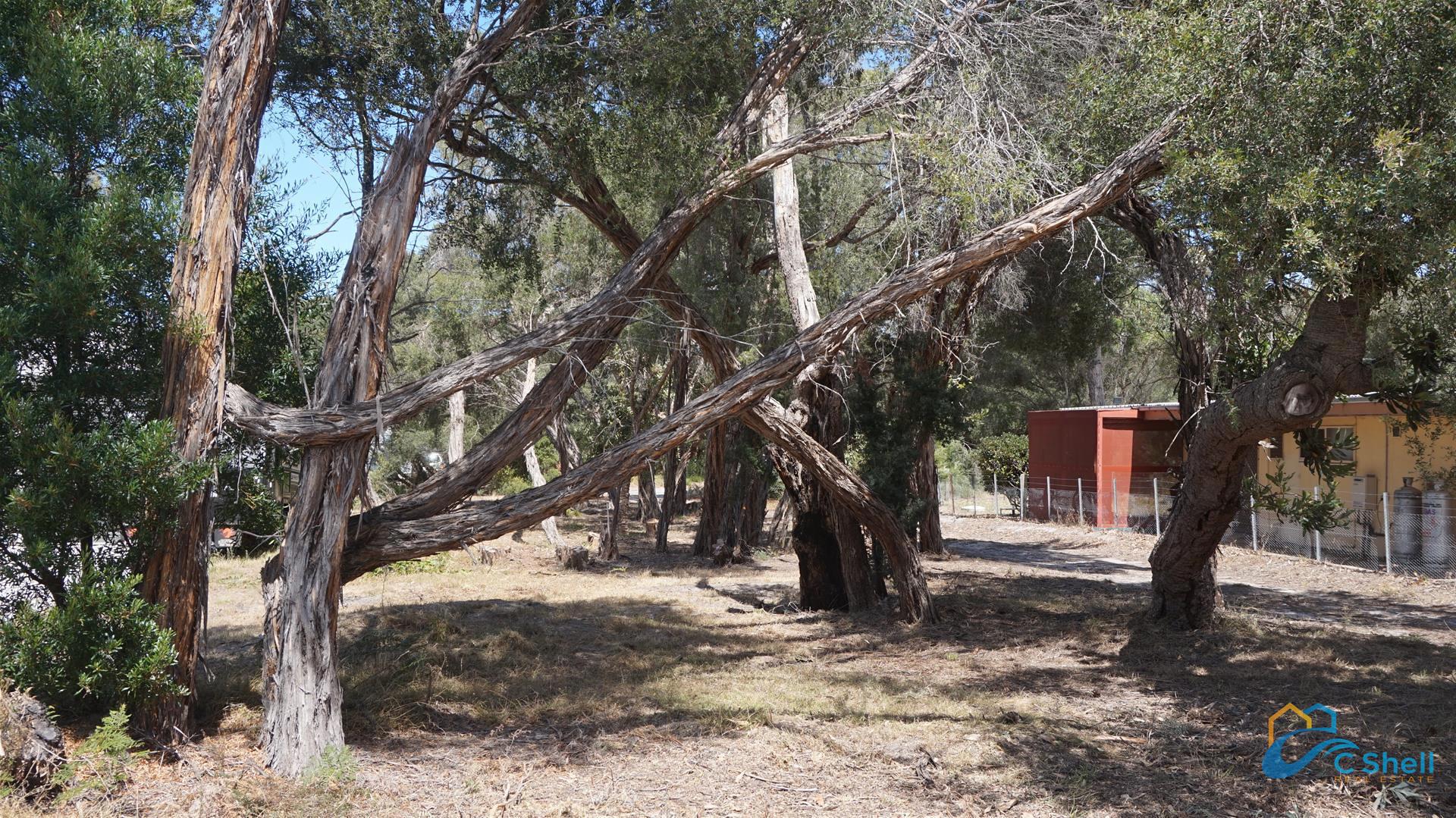 78 Toorak Avenue Loch Sport, VIC, Loch Sport - Thumbnail 2