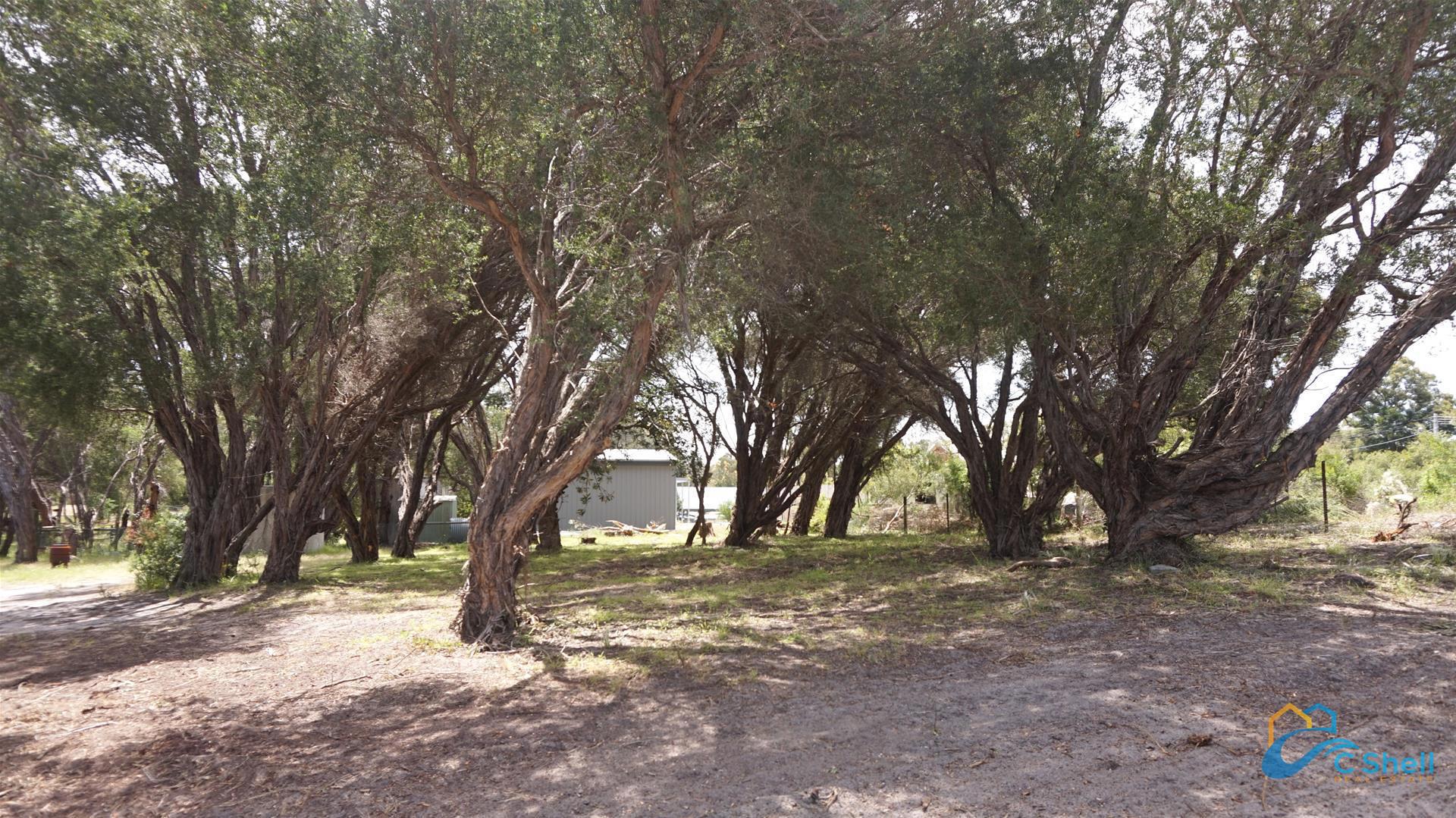 337 National Park Road Loch Sport, VIC, Loch Sport - Thumbnail 8