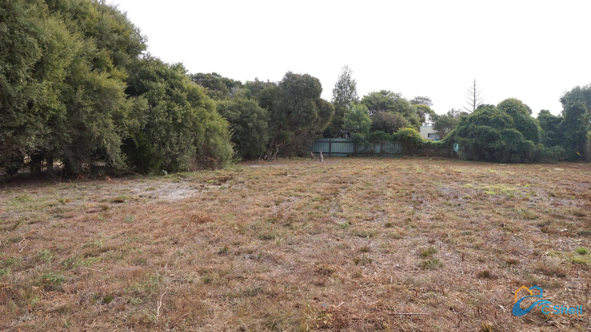 11 Carroll Street Loch Sport, VIC, Loch Sport - Thumbnail 3