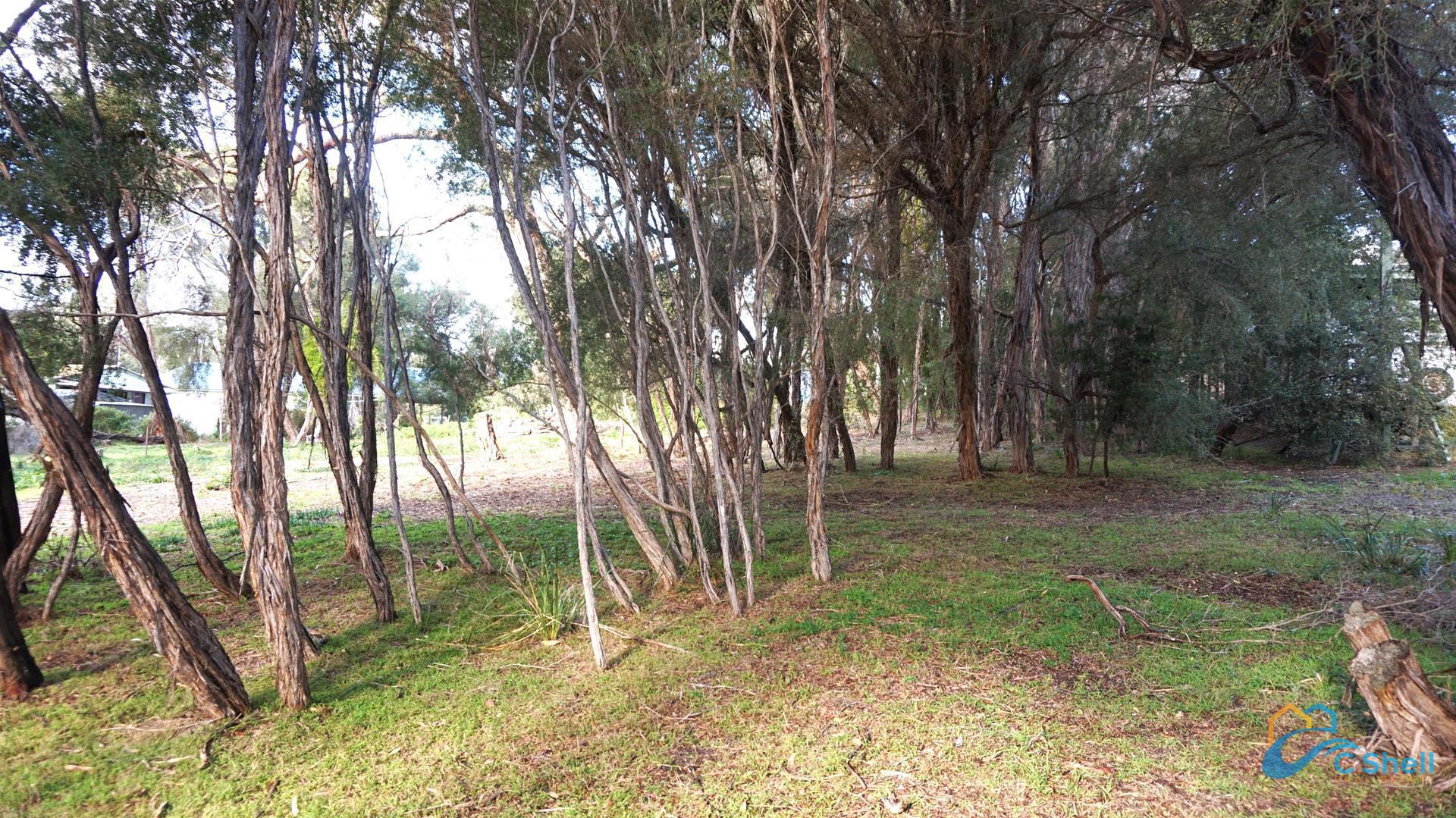 20 Geofrey Avenue Loch Sport, VIC, Loch Sport - Thumbnail 3