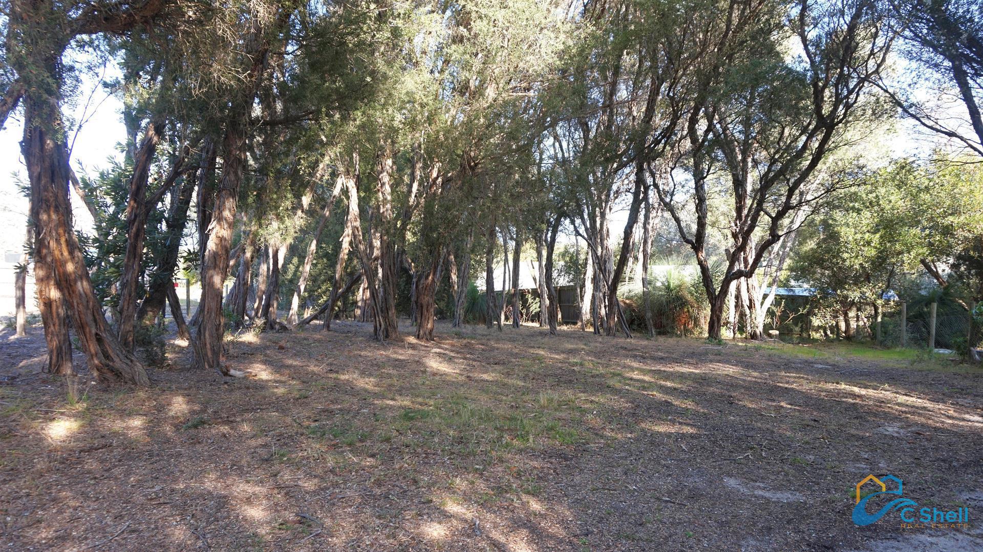 9 Banksia Street Loch Sport, VIC, Loch Sport - Thumbnail 3