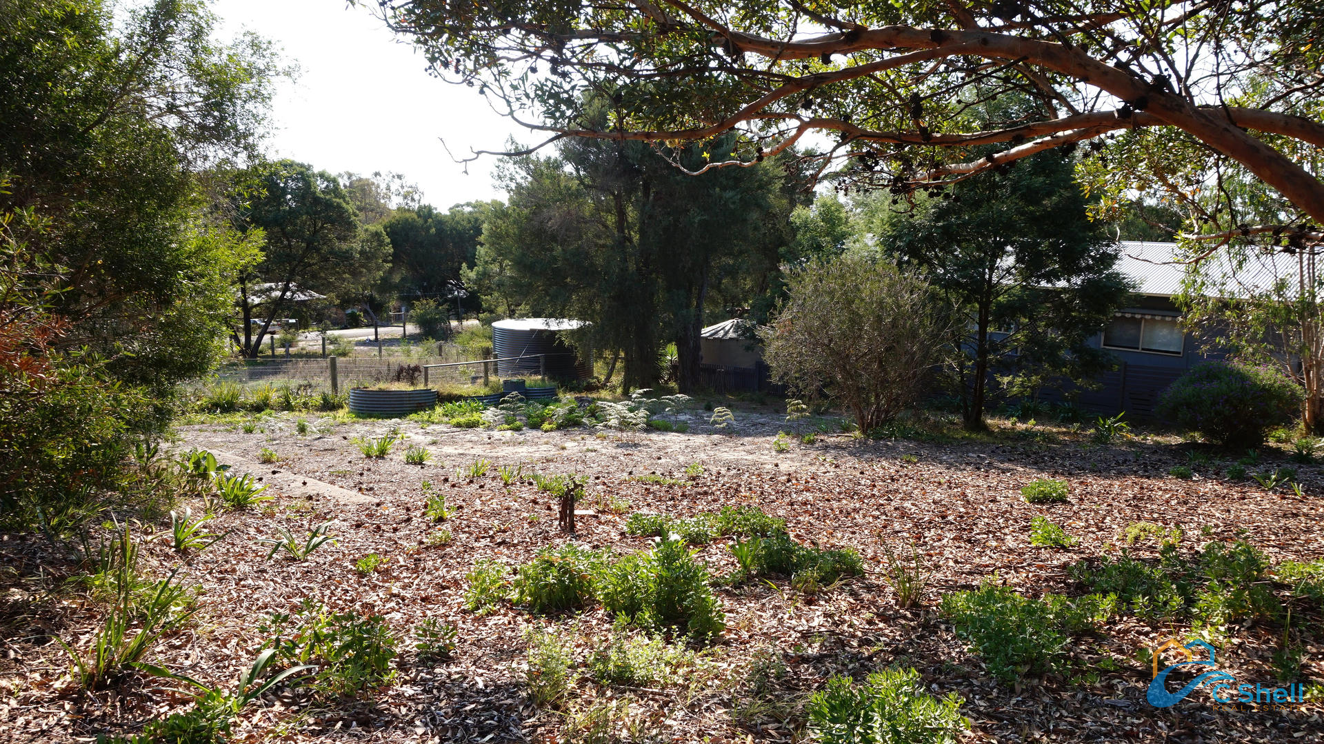 23 Bernadette Avenue Loch Sport, VIC, Loch Sport - Thumbnail 4