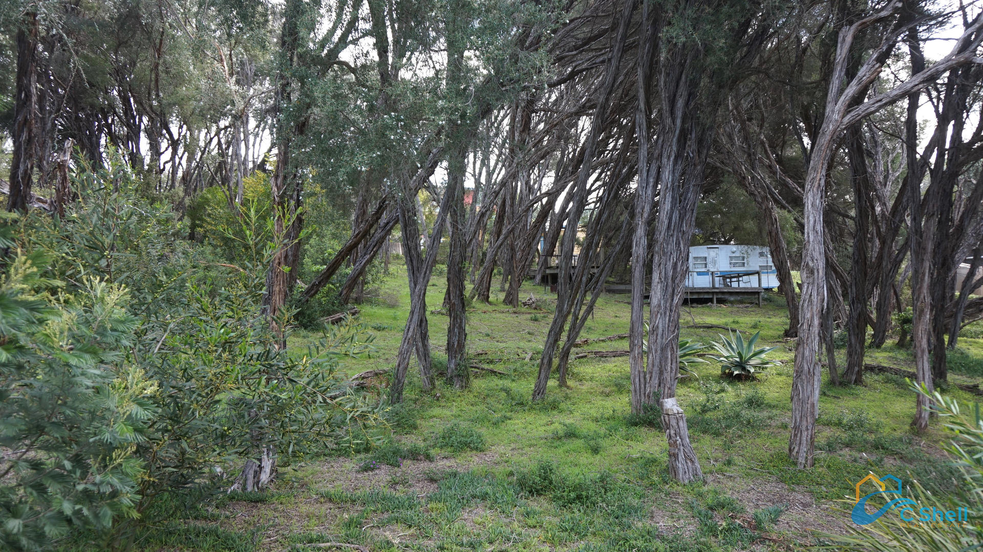 4 Goodlett Avenue Loch Sport, VIC, Loch Sport - Thumbnail 5