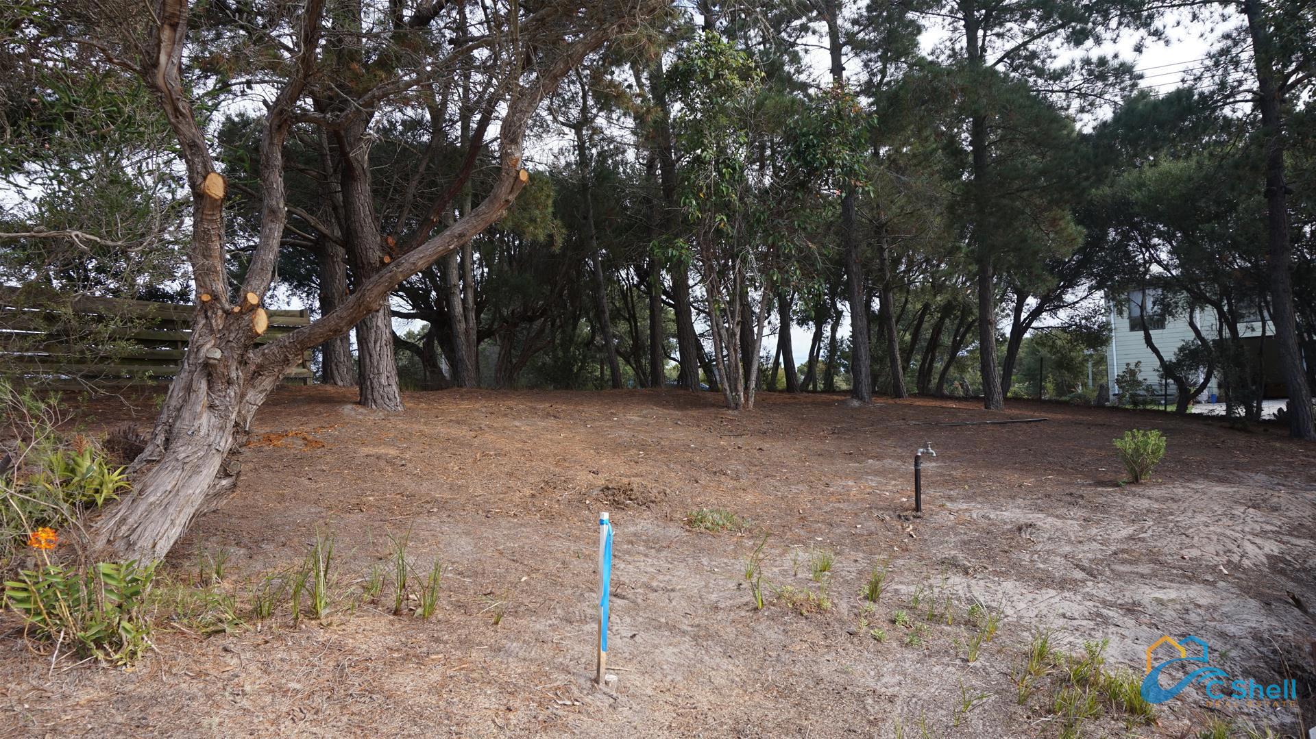 2 Geofrey Avenue Loch Sport, VIC, Loch Sport - Thumbnail 7