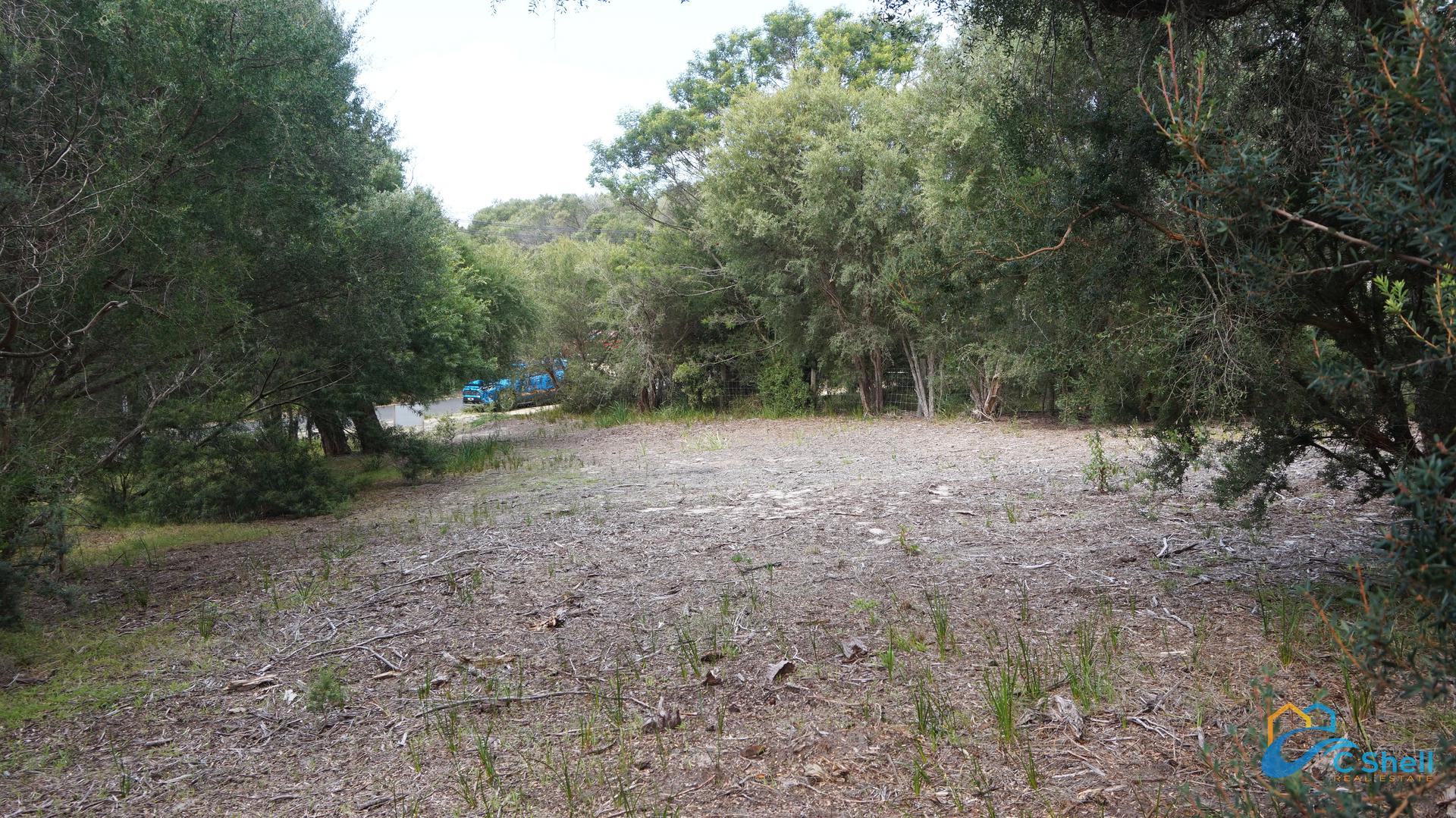 8 Goodlett Avenue Loch Sport, VIC, Loch Sport - Thumbnail 2