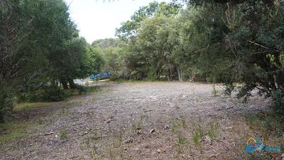 8 Goodlett Avenue Loch Sport, VIC, Loch Sport - Thumbnail 7
