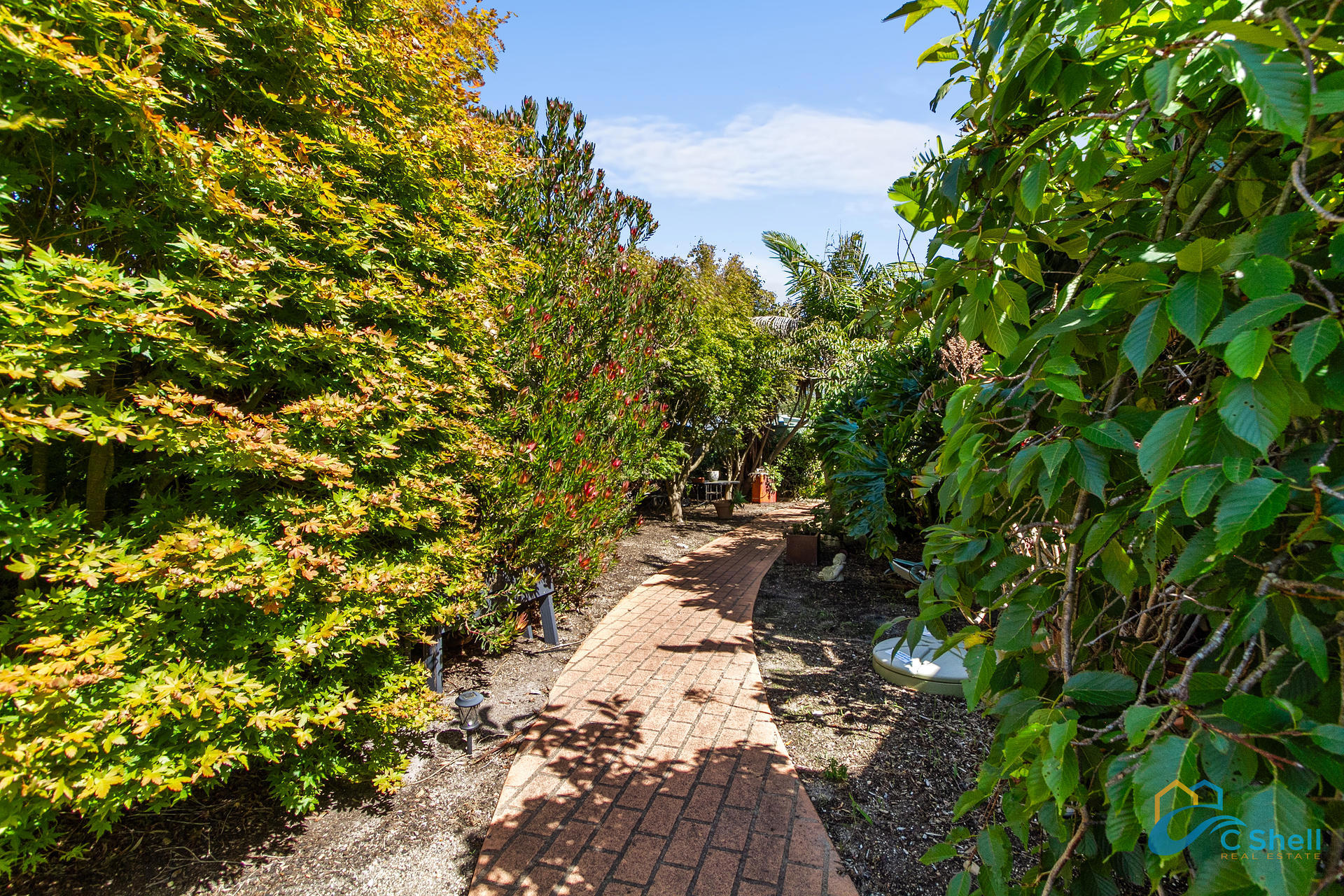 7 Emu Court Loch Sport, VIC, Loch Sport - Thumbnail 5