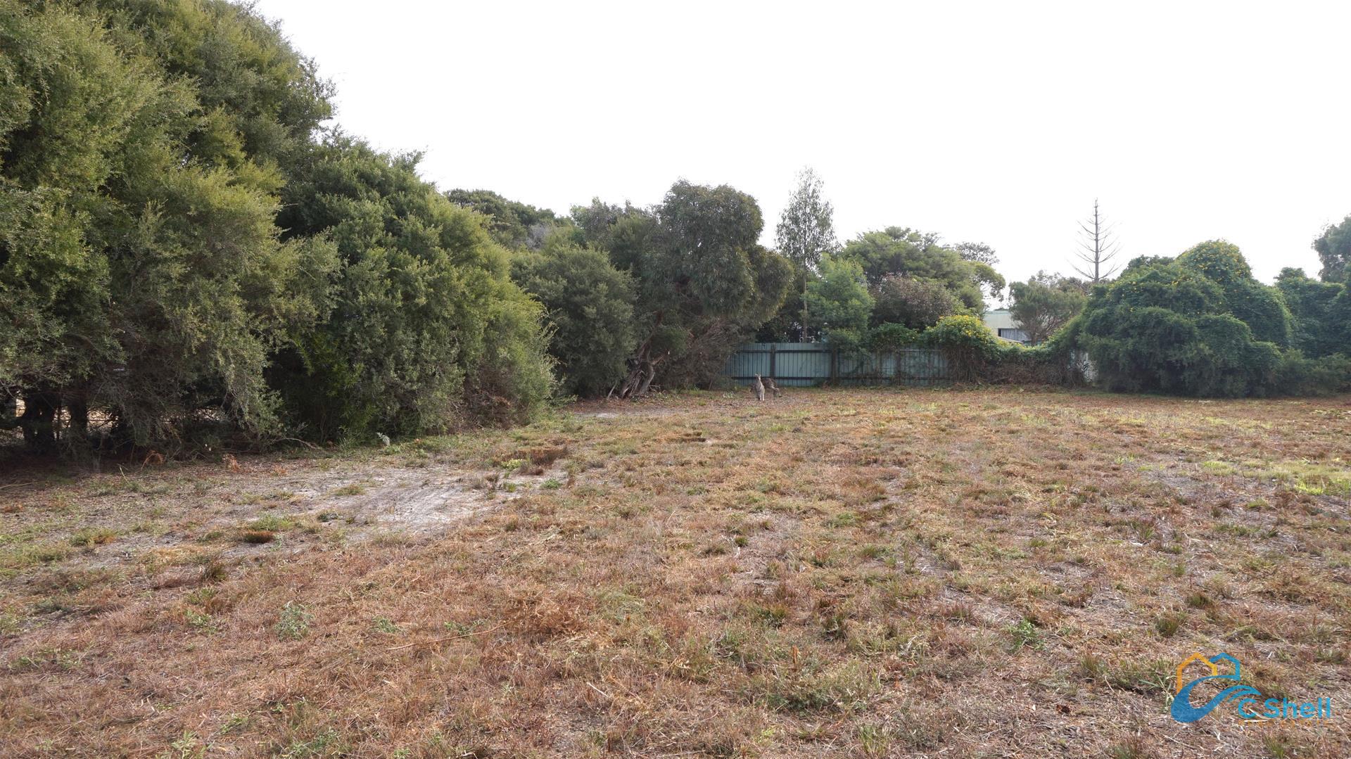 11 Carroll Street Loch Sport, VIC, Loch Sport - Thumbnail 6