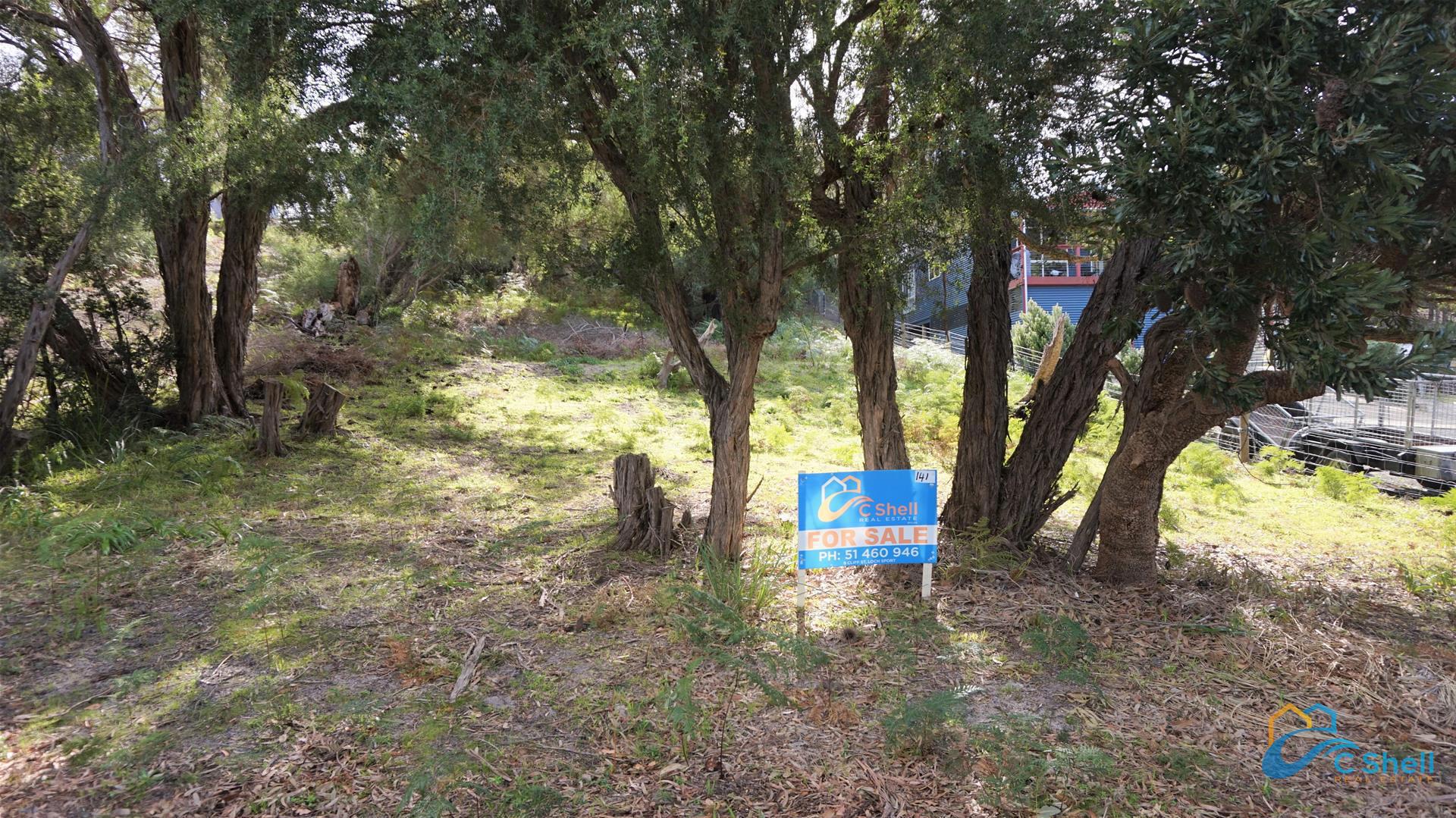 141 Toorak Avenue Loch Sport, VIC, Loch Sport - Thumbnail 2