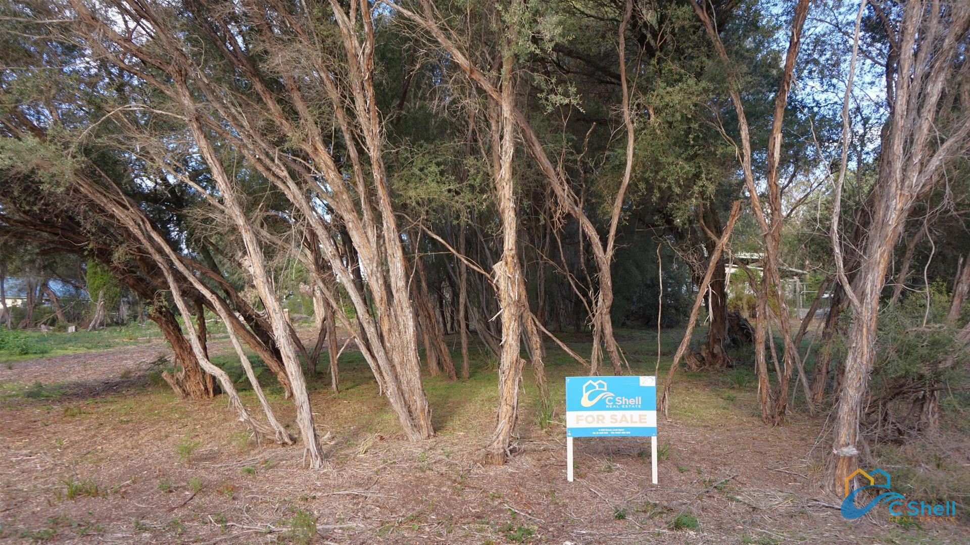 20 Geofrey Avenue Loch Sport, VIC, Loch Sport - Thumbnail 2